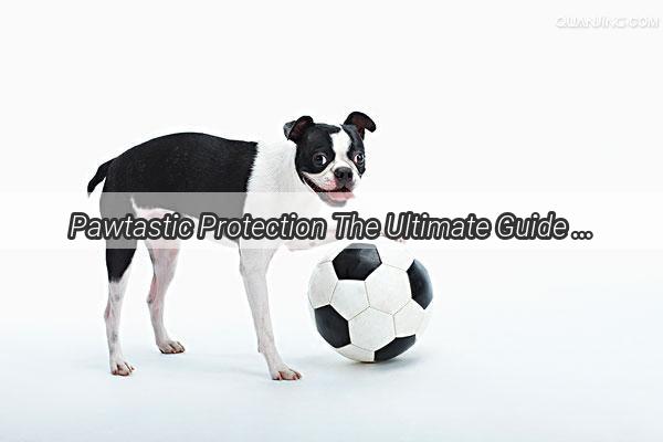 Pawtastic Protection The Ultimate Guide to Wrapping Your Pups Paws Like a Pro